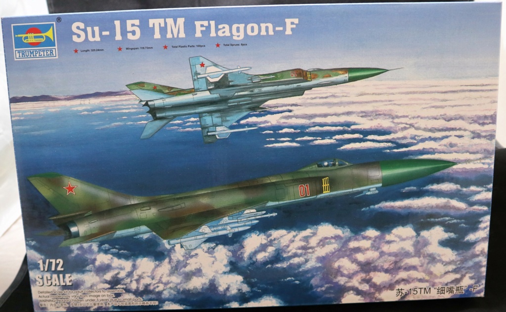 1/72 Sukhoi 15 A Trumpeter. ( Les 10 ans du forum ) Img_0585