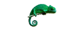 Animagus Animagus