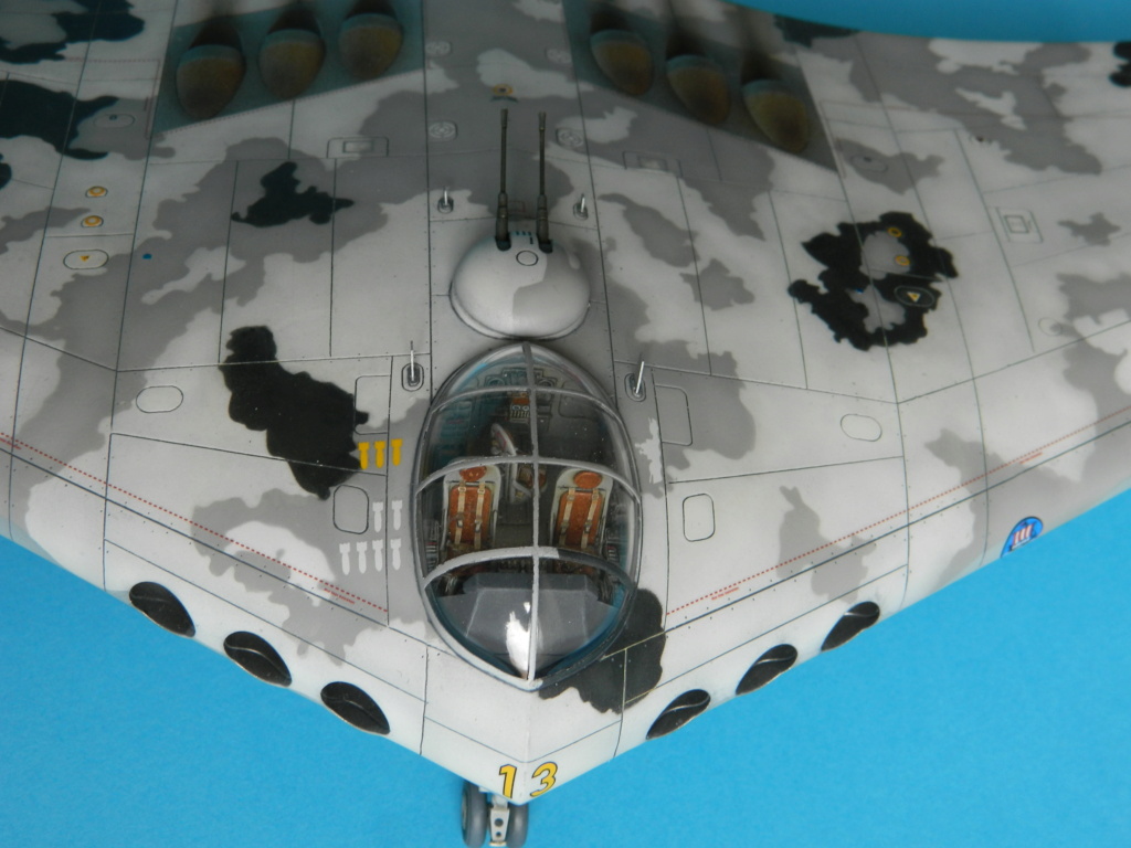 HORTEN XVIIIA. Modelcollect 1/72. Fini. - Page 3 5529