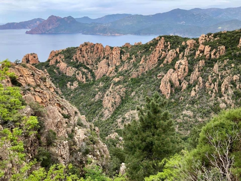 Mare e monti di Corsica 59999110