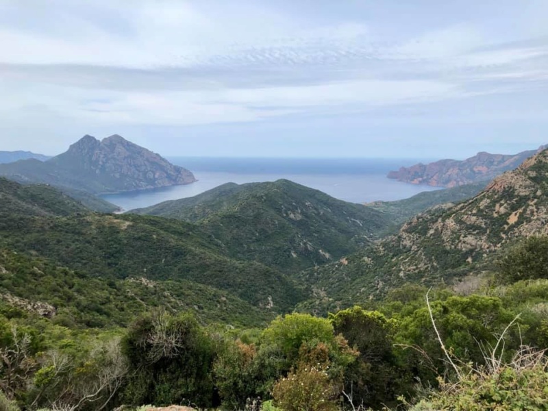 Mare e monti di Corsica 60024110