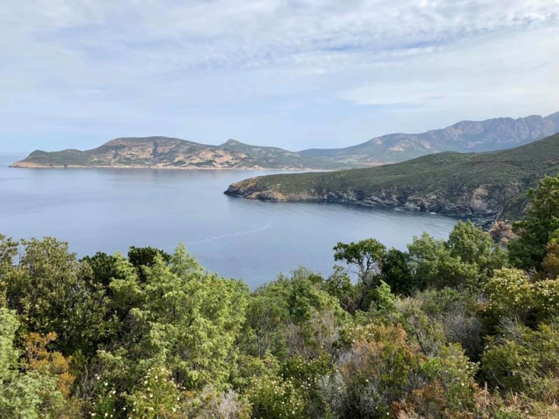 Mare e monti di Corsica 60121710