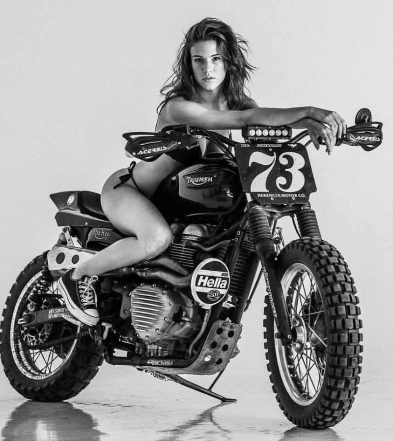 Babes & Bikes - Page 14 Img_7513