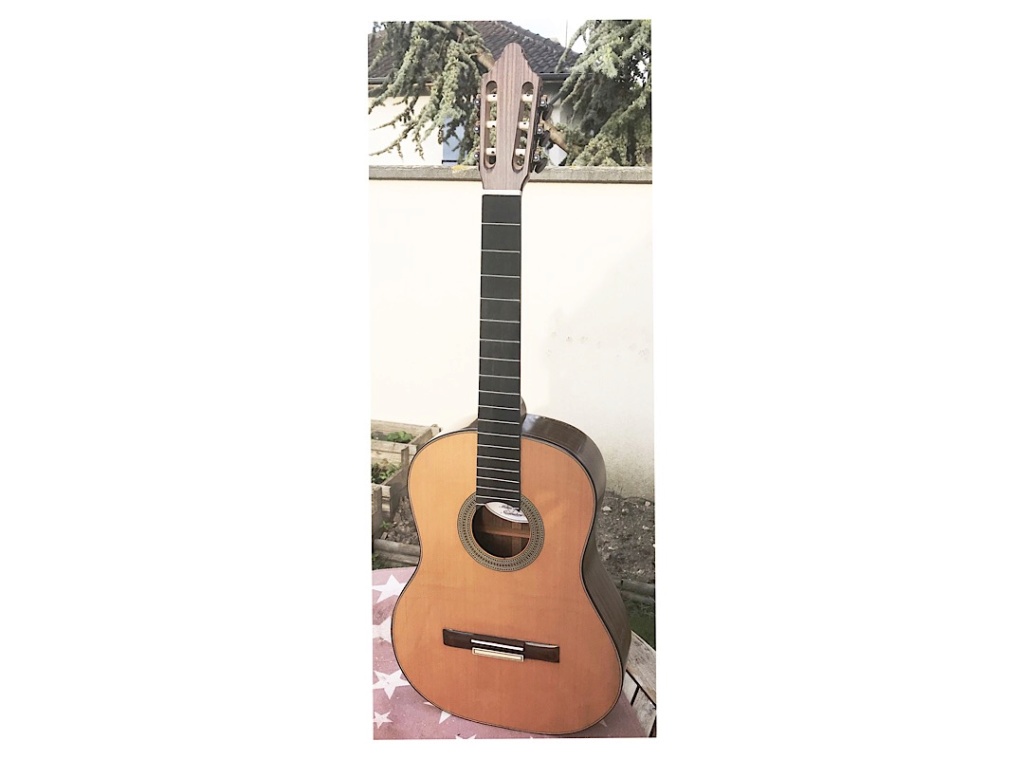 Les guitares de Nic77 - Page 2 B203b910