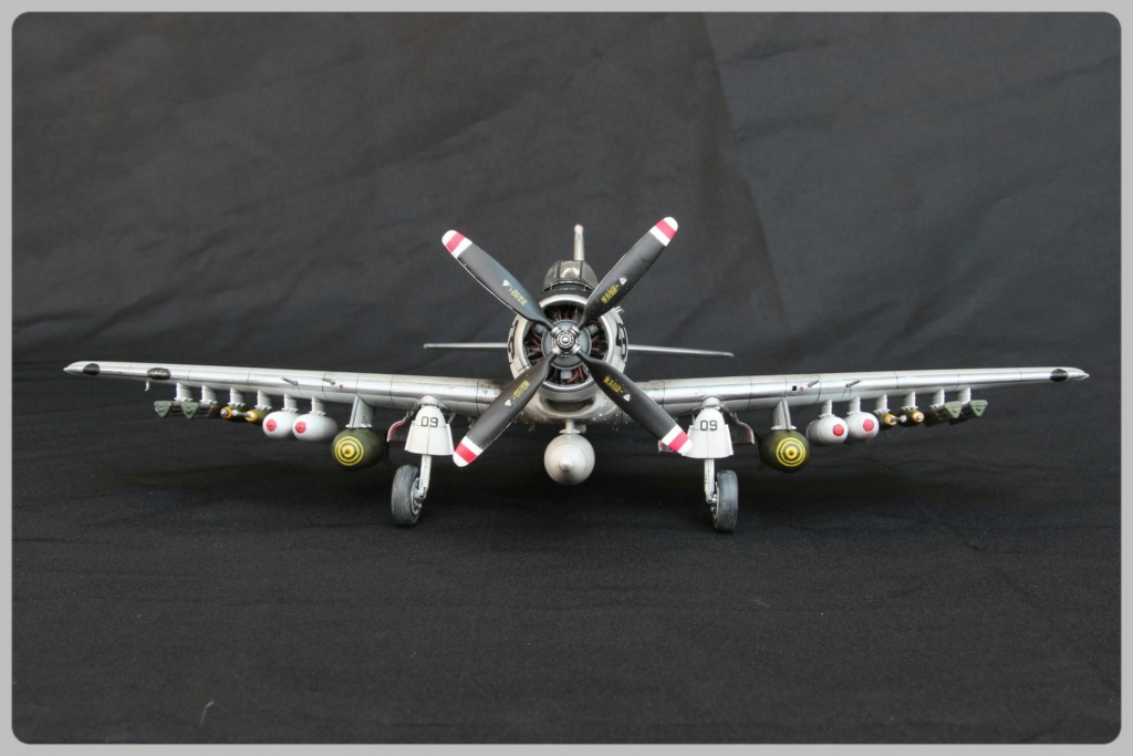 [Tamiya] 1/48 - Douglas Skyraider A-1H   Maque113