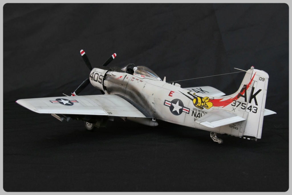 [Tamiya] Douglas Skyraider A-1H  1/48 Maque115