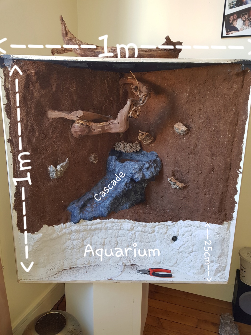 Conseil Eclairage Terrarium 20200311