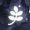 IKIGAI [Confirmación - Élite] 30x3010
