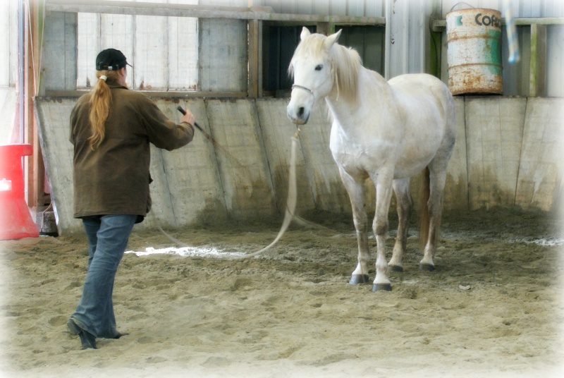 (Dept 72) Poncho, ONC, Sauvée par Moon (Avril 2009) - Page 6 3110