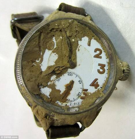Montres harold new arrivals