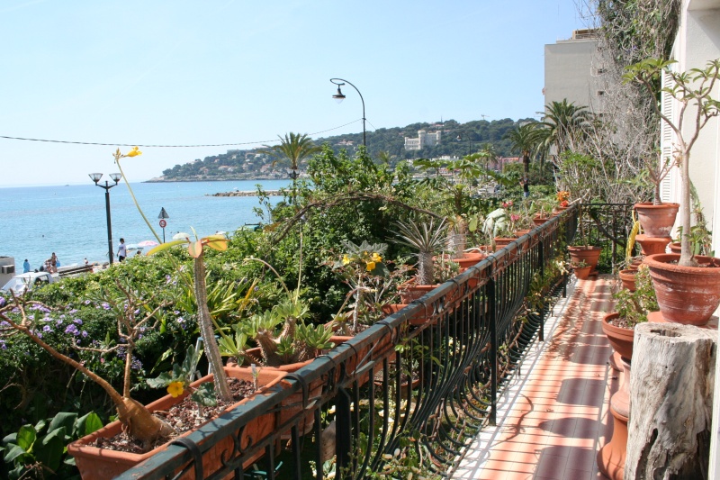 ide jardinire pour balcon? Le_bal10