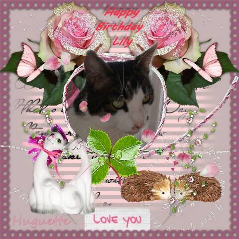 Joyeux Anniversaire Ma Petite Lily Cherie Joyeux Anniversaire Ma Petite Lily Cherie