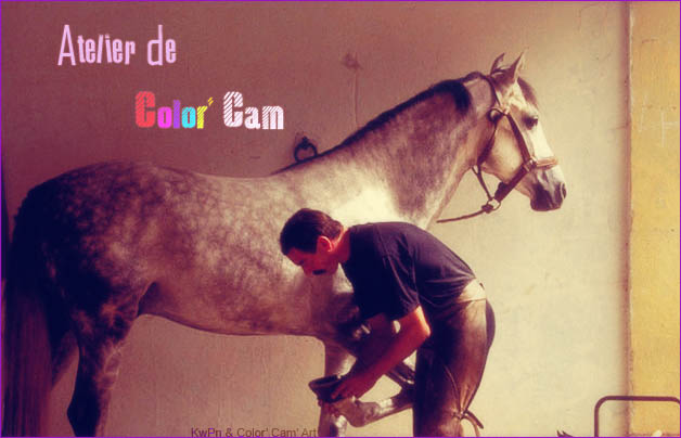 « Atelier de Color' Cam" Ate10