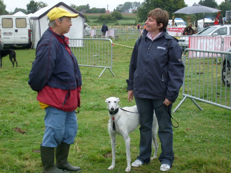 Des galgos en expo en Belgique 10080810