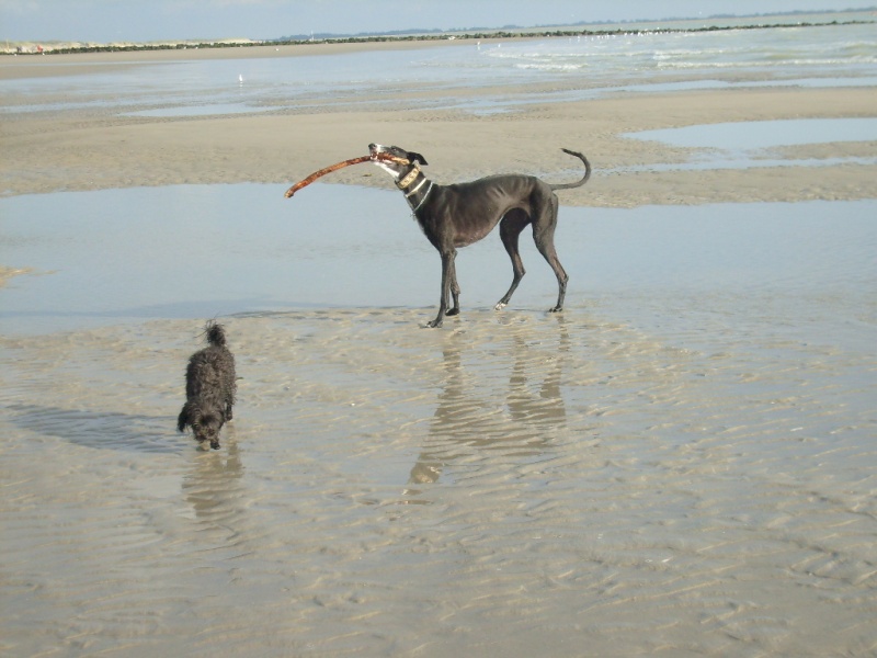 Vacances - Eté 2008 25080858