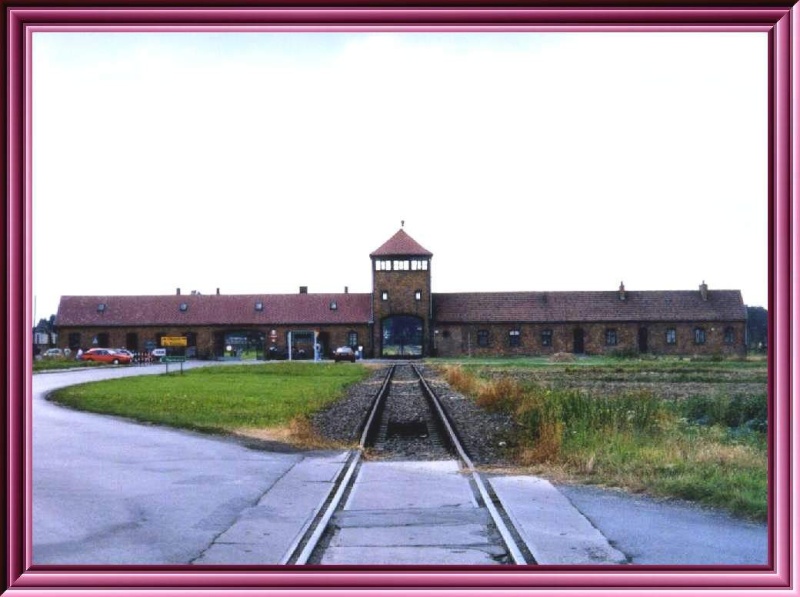 Auschwitz - Birkenau Auschw12