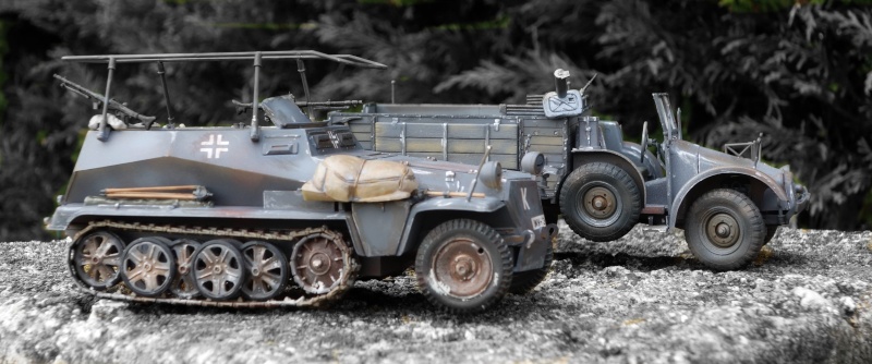 TAMIYA 1/35 SDKF 250-3 86110