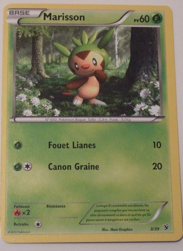 TCG Pokémon : Collection des Cartes X & Y. _1411