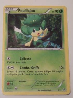 TCG Pokémon : Collection des Cartes X & Y. _1511