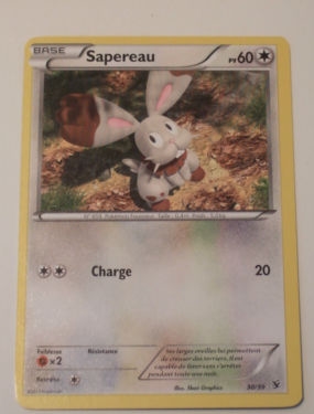TCG Pokémon : Collection des Cartes X & Y. _2212