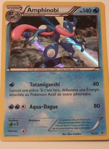 TCG Pokémon : Collection des Cartes X & Y. _3011