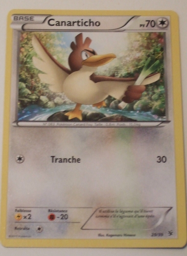 TCG Pokémon : Collection des Cartes X & Y. _3811