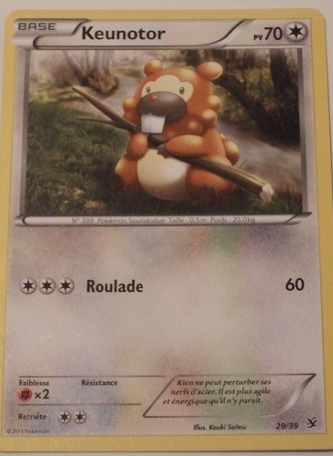 TCG Pokémon : Collection des Cartes X & Y. _4011