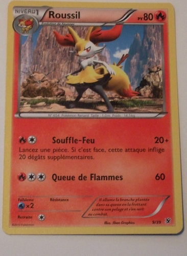 TCG Pokémon : Collection des Cartes X & Y. _5810