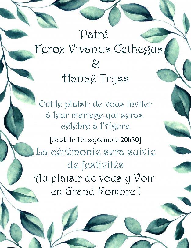 Mariage De Ferox & Hanaë Fairep10