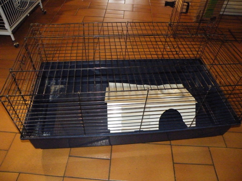2 cages pour lapin ou cochon d inde Dscf9527