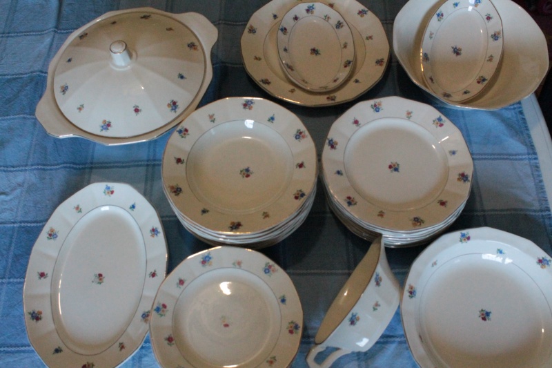 service de table 44 pièces porcelaine de Sarreguemines Img_0418