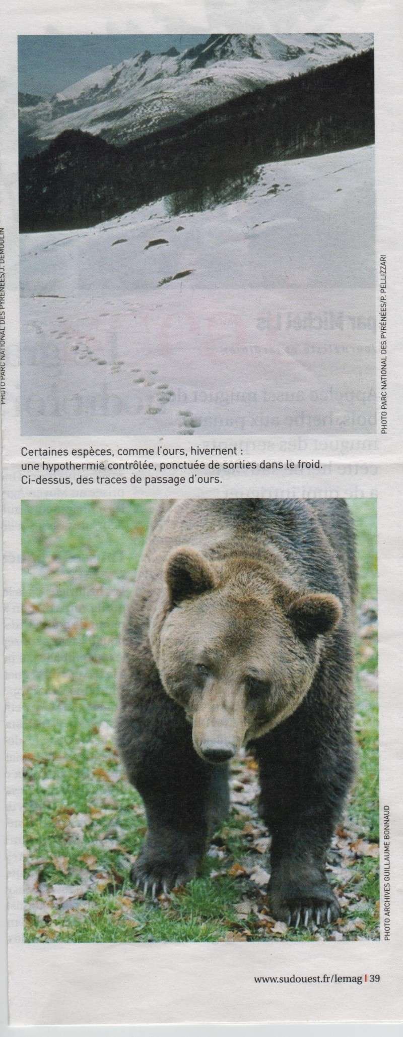 l'OURS dans la presse et les journaux - Page 9 Magazi11