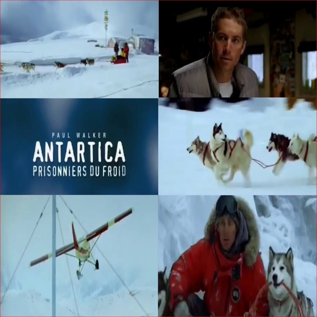 Antartica, prisonniers du froid: 000027
