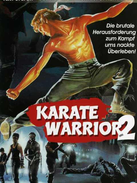 Karaté warrior 2 13176610