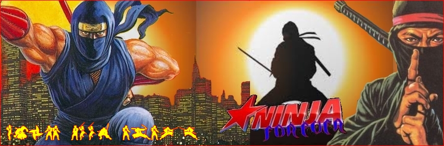 NinjaForever: Nin2110