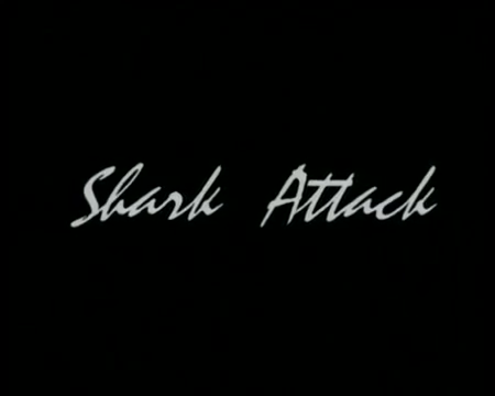 Shark Attack Vlcsn746