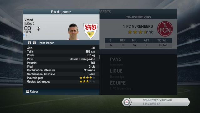 Enchères multiples : Naldo, Ibisevic & Sam Fifa1435