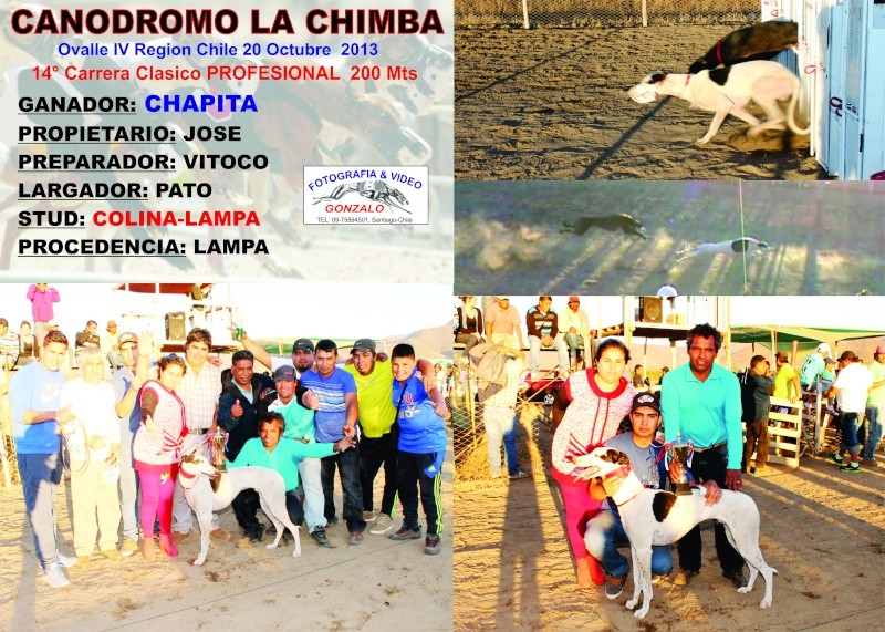20 OCTUBRE, GRANDES CLASICOS CANODROMO LA CHIMBA ALTO-OVALLE 14-cla11