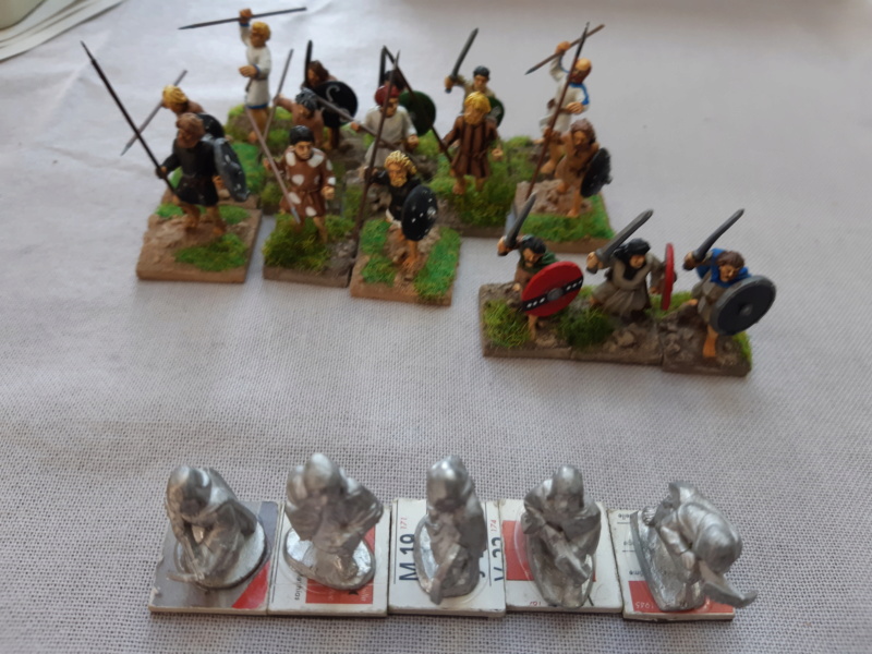 Pictes 28mm et normands 25mm 20190218