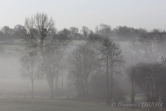 41ème Concours photo Clic-Clac : Octobre 2013 - Brouillard (participation) Img_5612