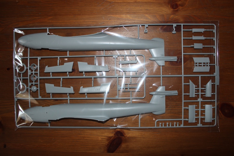 review kit du Gloster Meteor HKM 1/32 Img_1620