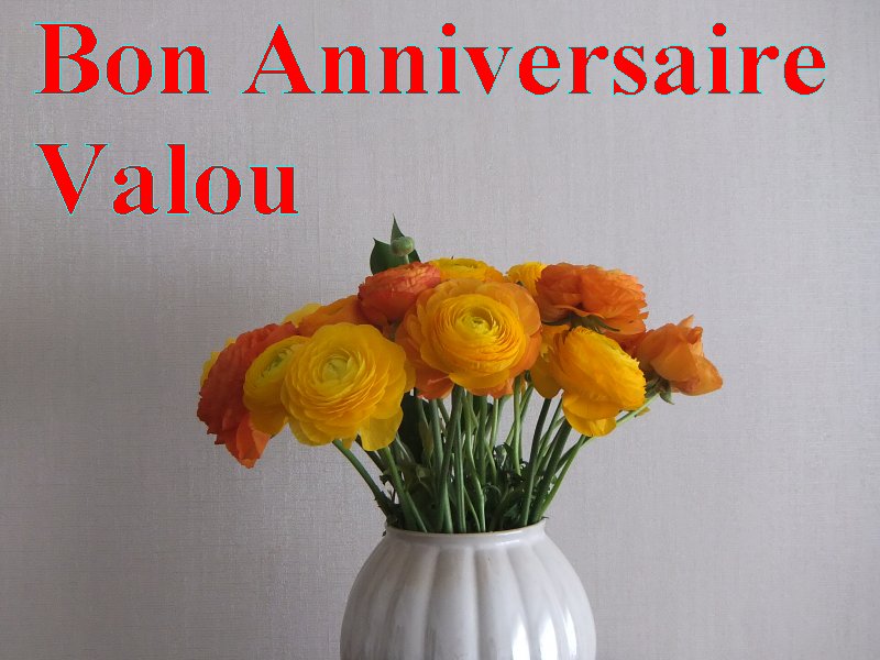 Joyeux Anniversaire Valou Page 2 Joyeux Anniversaire Valou Page 2