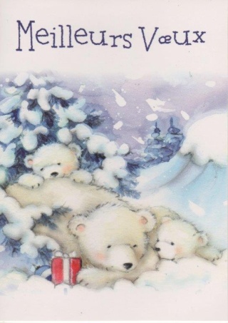 l'OURS dans les cartes postales - Page 22 2013_101