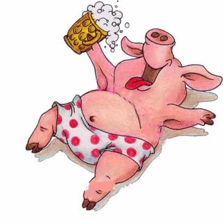 Permis de conduire international Cochon12