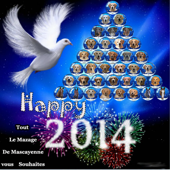 Bonne année 2014 Happyn11