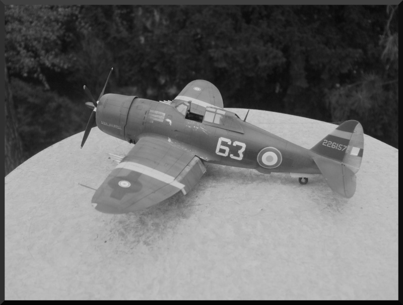 P47D Razorback armée de l'air  tamiya 1/48 Dehors14