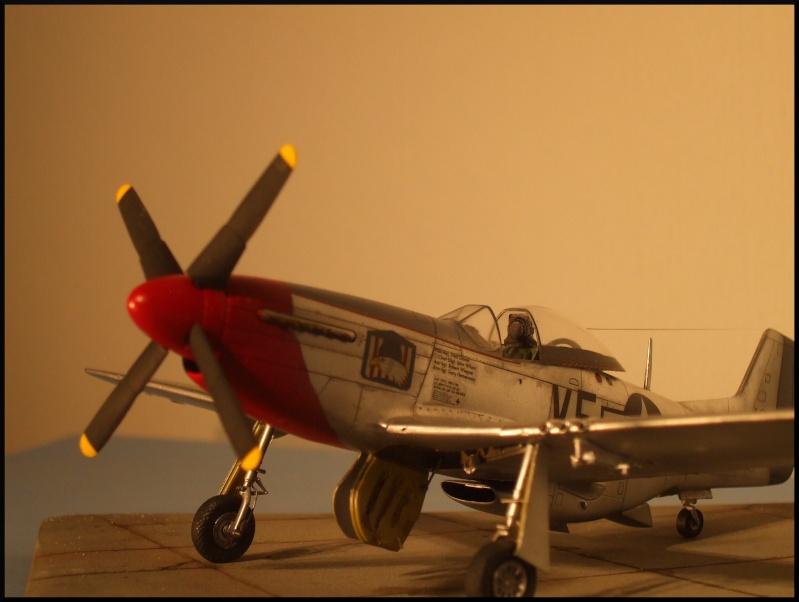 P51 D HASEG 1/48 P51_fi17