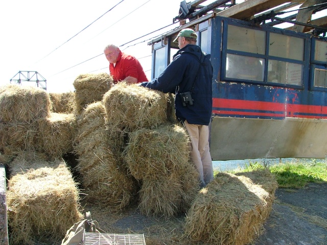 [Voyage 08] [IRLANDE] Un grand bol d'Eire (Juil 2008) Dscf4820