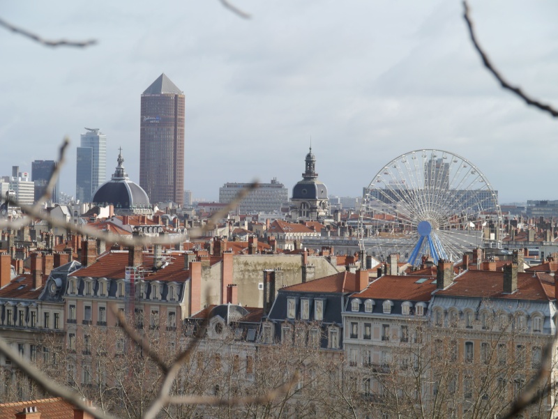 [LYON] Samedi pluvieux, dimanche ensoleillé (Fev 2014) P1420013