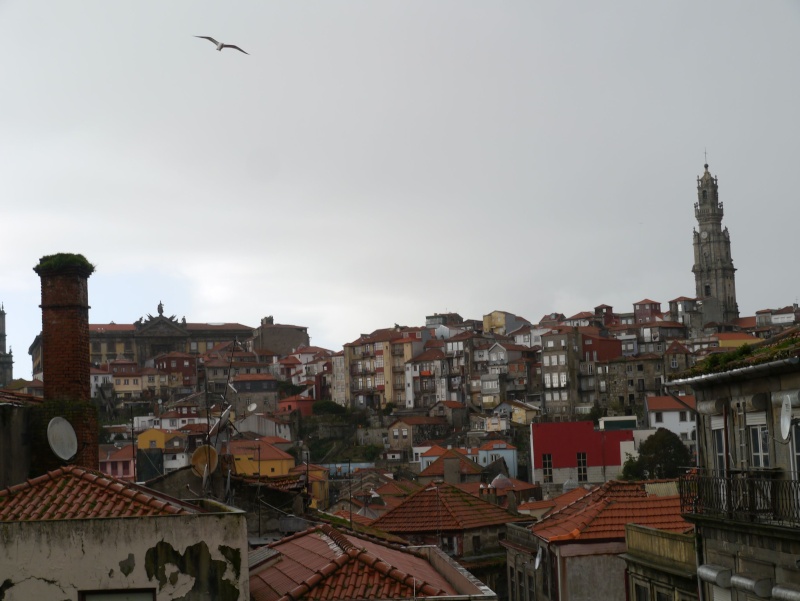 [PORTUGAL] Une semaine à Porto (Fev 2014) P1420313